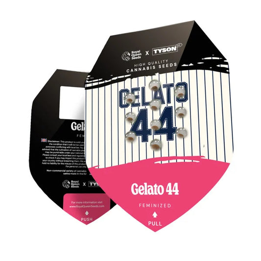 Gelato 44 Seeds 3 Pack