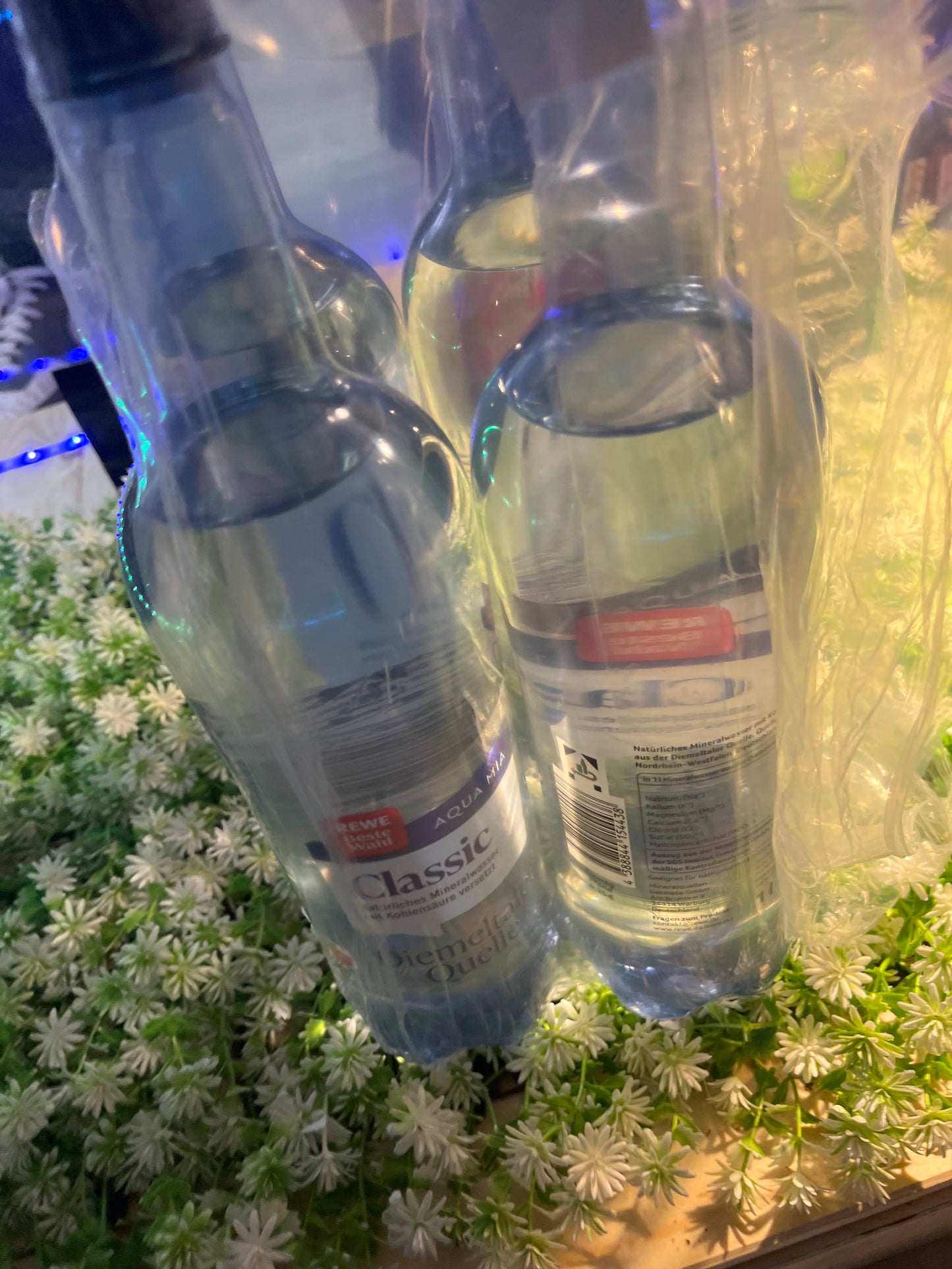 Wasser 1l