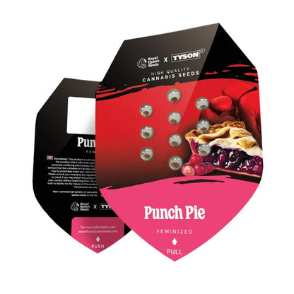 Punch Pie Seeds 3 Pack