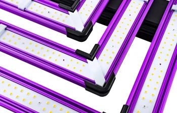 Lumatek LED ATS300W PRO