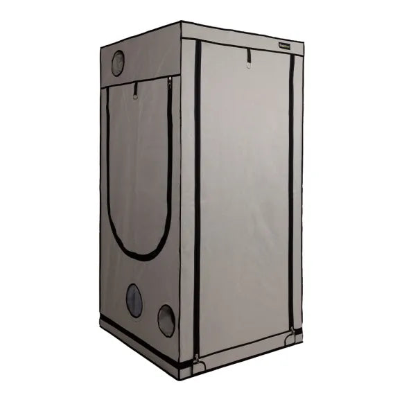 Homebox Ambient Q100+